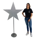 Étoile argéntée sur pied - 170cm