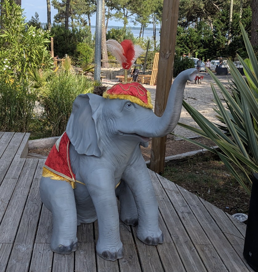 Eléphant de cirque - 145cm