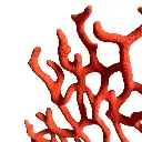 Design sans titre (10).webp