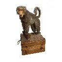 Design sans titre (14).webp