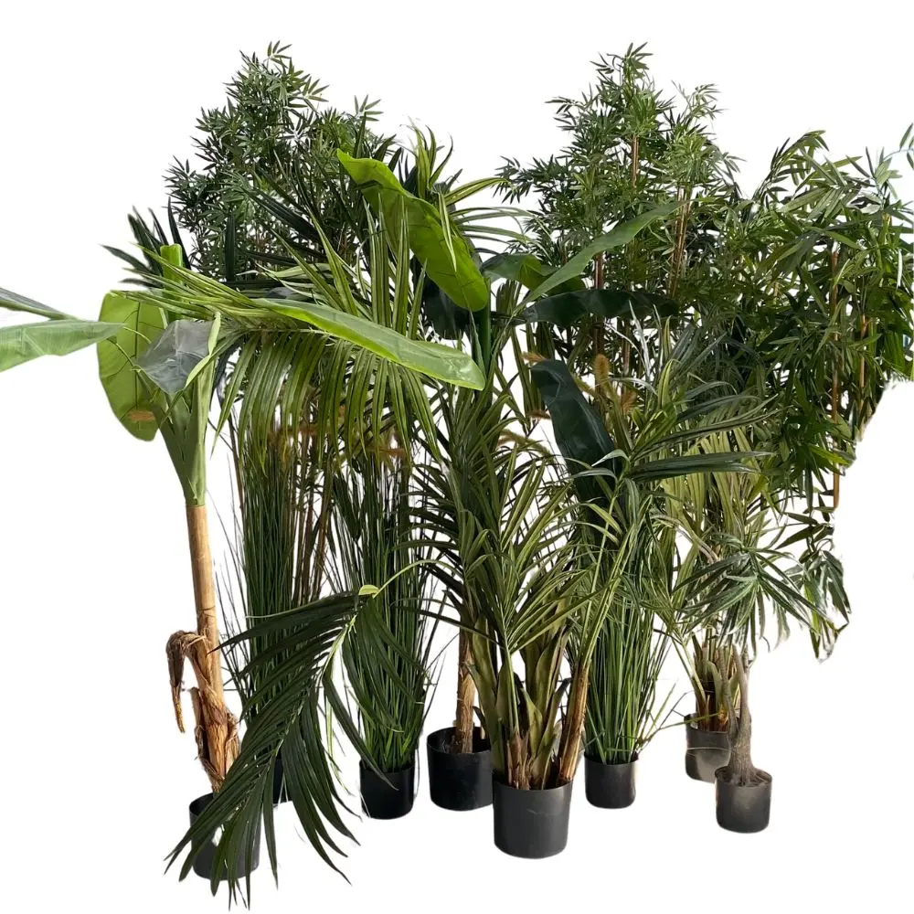 Design sans titre (58).webp