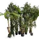 Design sans titre (58).webp