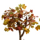 Design sans titre - 2025-10-29T121249.879.webp