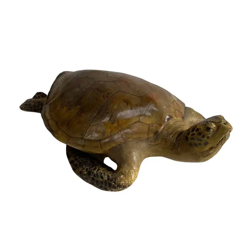 Design sans titre - 2025-11-18T162935.577.webp