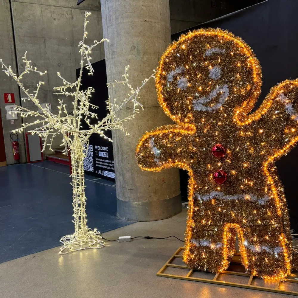 Design sans titre - 2026-01-05T144458.220.webp