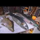 [locpla11] Poisson XL.webp