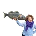 Design sans titre - 2026-01-20T095912.722.webp