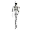 Libérateur d'idées (77).webp