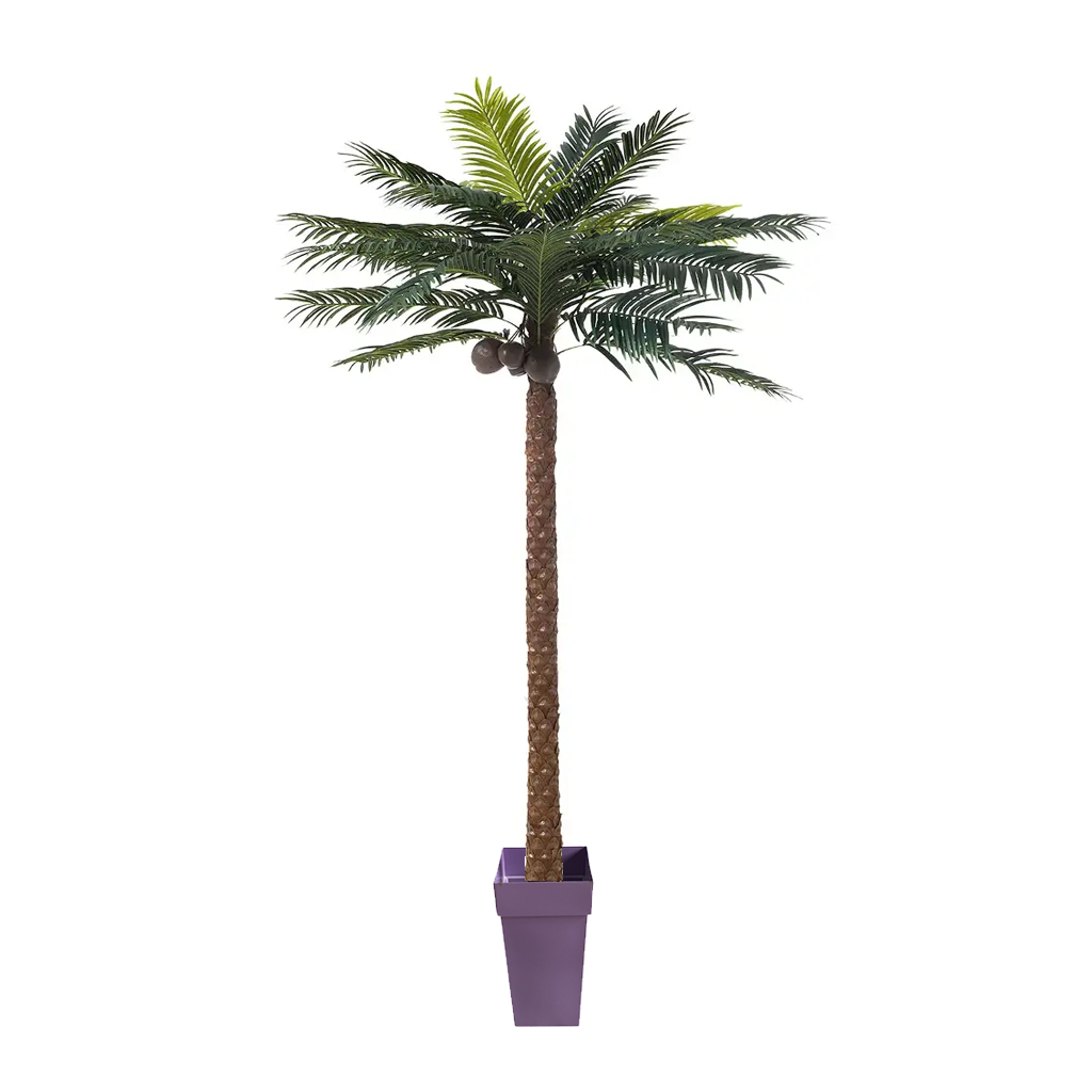 palmier 3.png