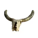 Libérateur d'idées - 2026-06-15T111444.289.webp
