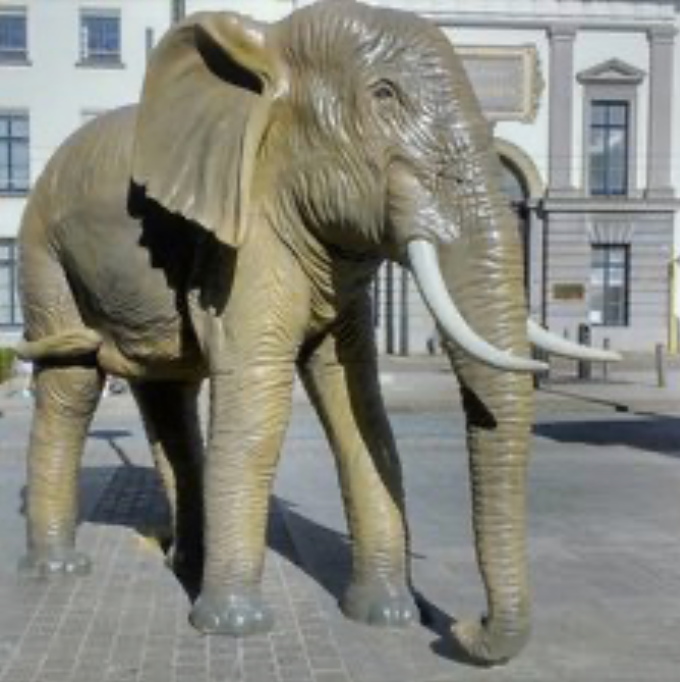 Eléphant taille réelle - 300cm