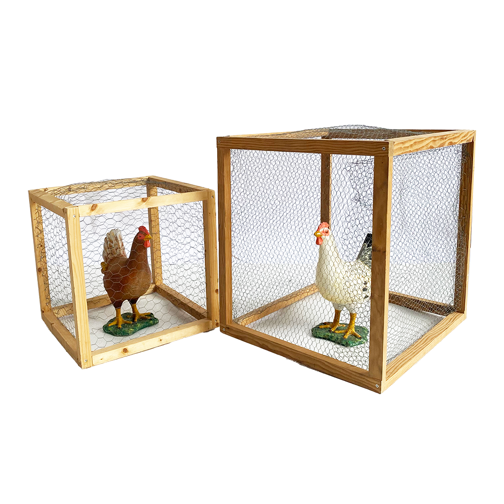Cages à poules - 70cm