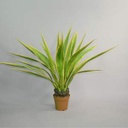 Plante agave - 100cm