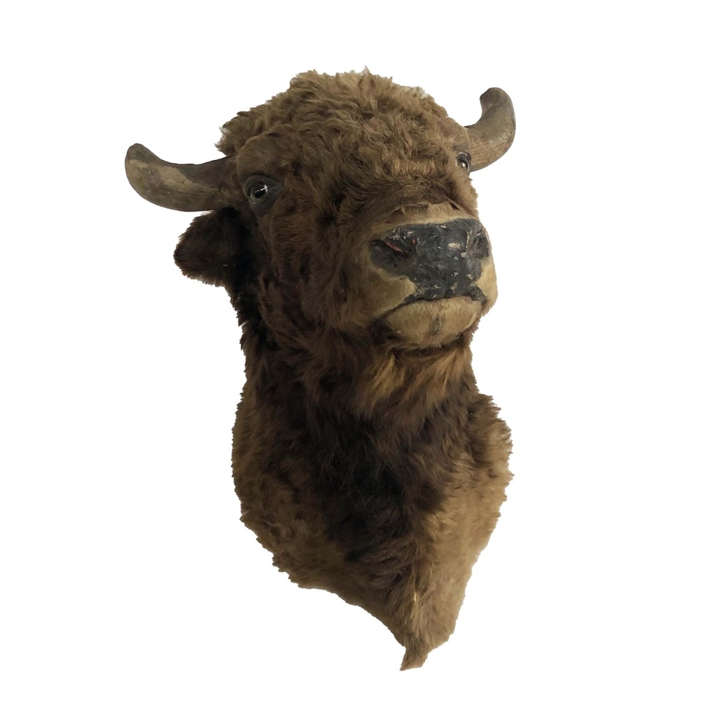 Tête de bison - 80cm