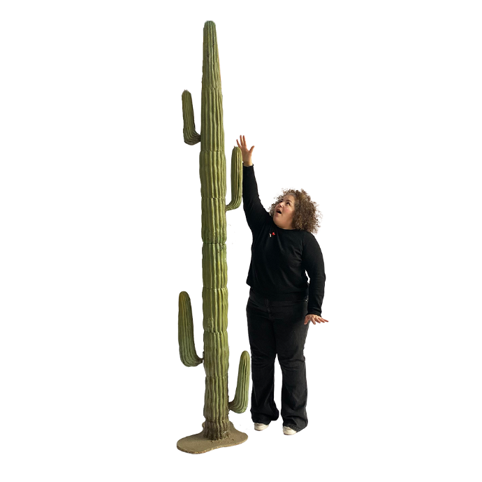 Cactus - 250cm