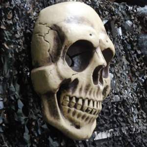 Crâne humain - 80cm