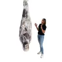 Zombie en toile d'araignée - 200cm