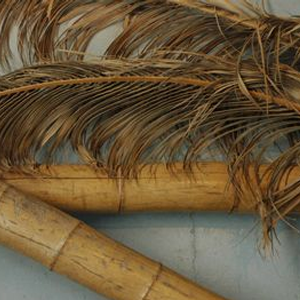 Feuilles palmier - 357cm