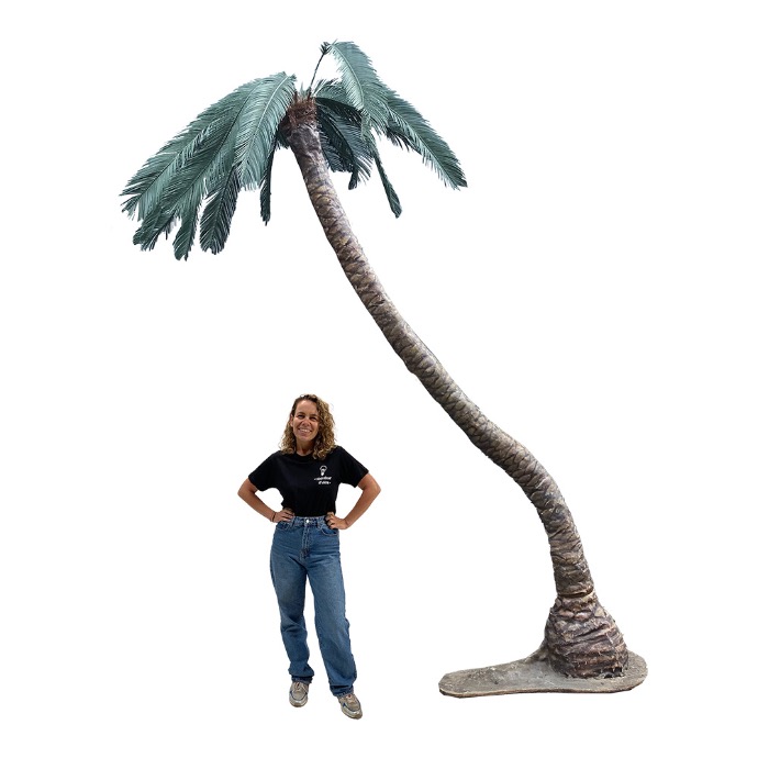 Palmier - 480cm
