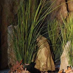 Plante artificielle - 80cm