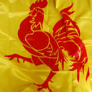 Drapeau Wallonie -150x88cm