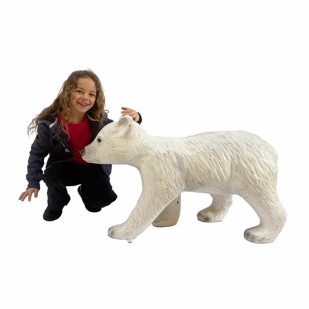 Bébé ours polaire 55cm