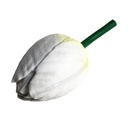[locfle2] Bouton de tulipe blanc - 40cm