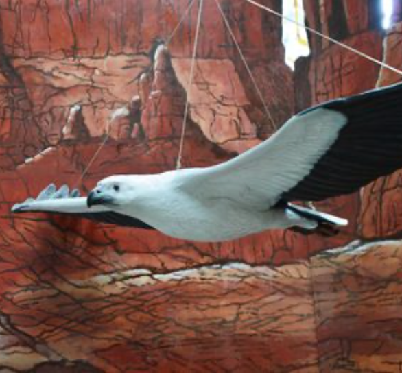 Mouette - 188cm