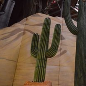 Cactus -  156cm