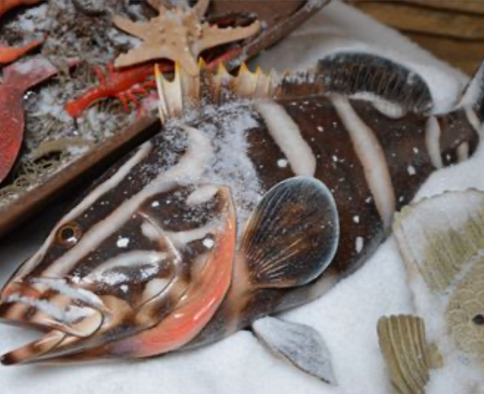 Poisson tropical - 36cm