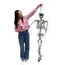 Squelette - 160cm