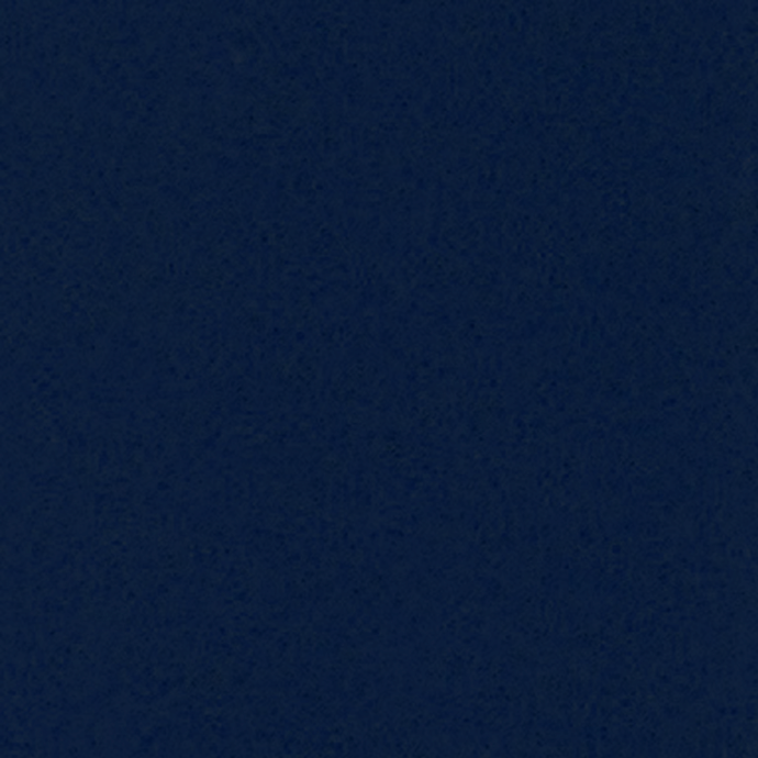 Moquette bleu nuit 5543