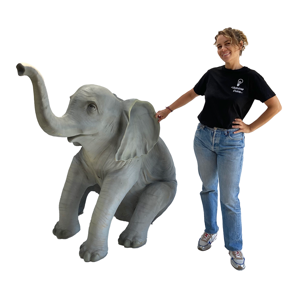Bébé éléphant assis - 145cm