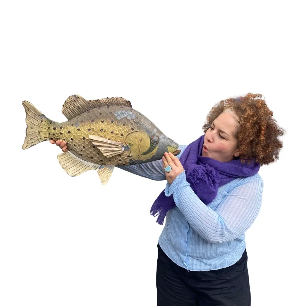 Poisson XL