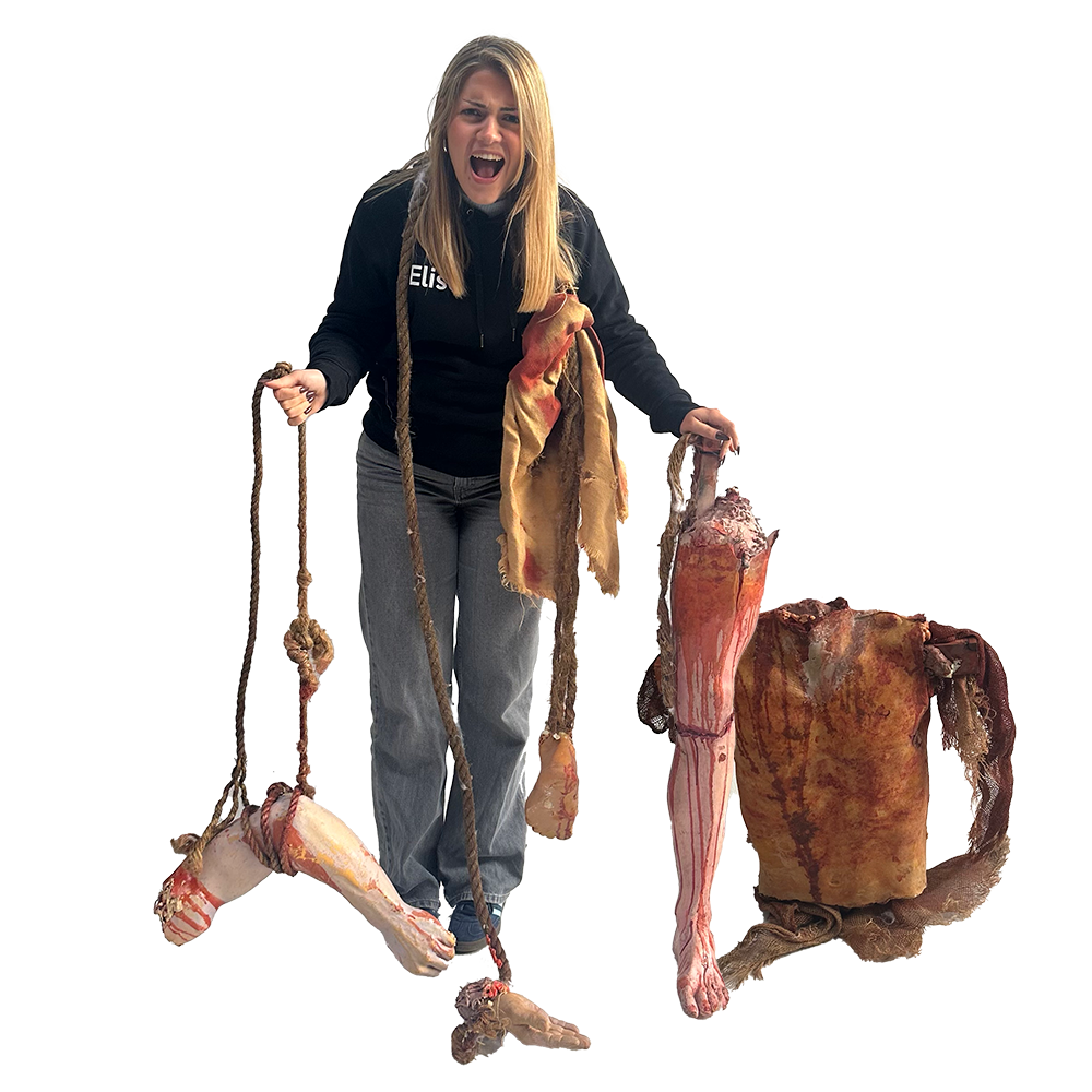 Lot de 4 membres découpés