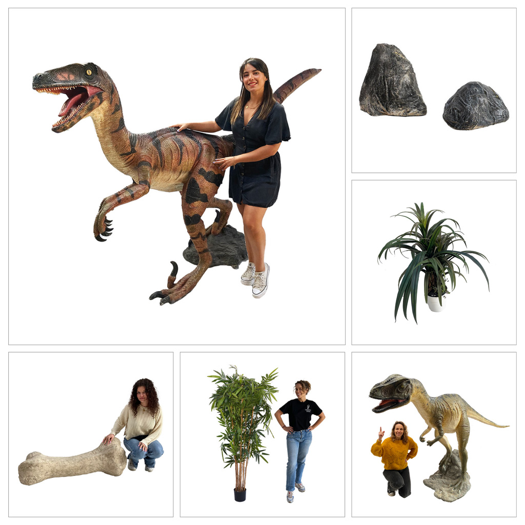 Decopack Dinosaure