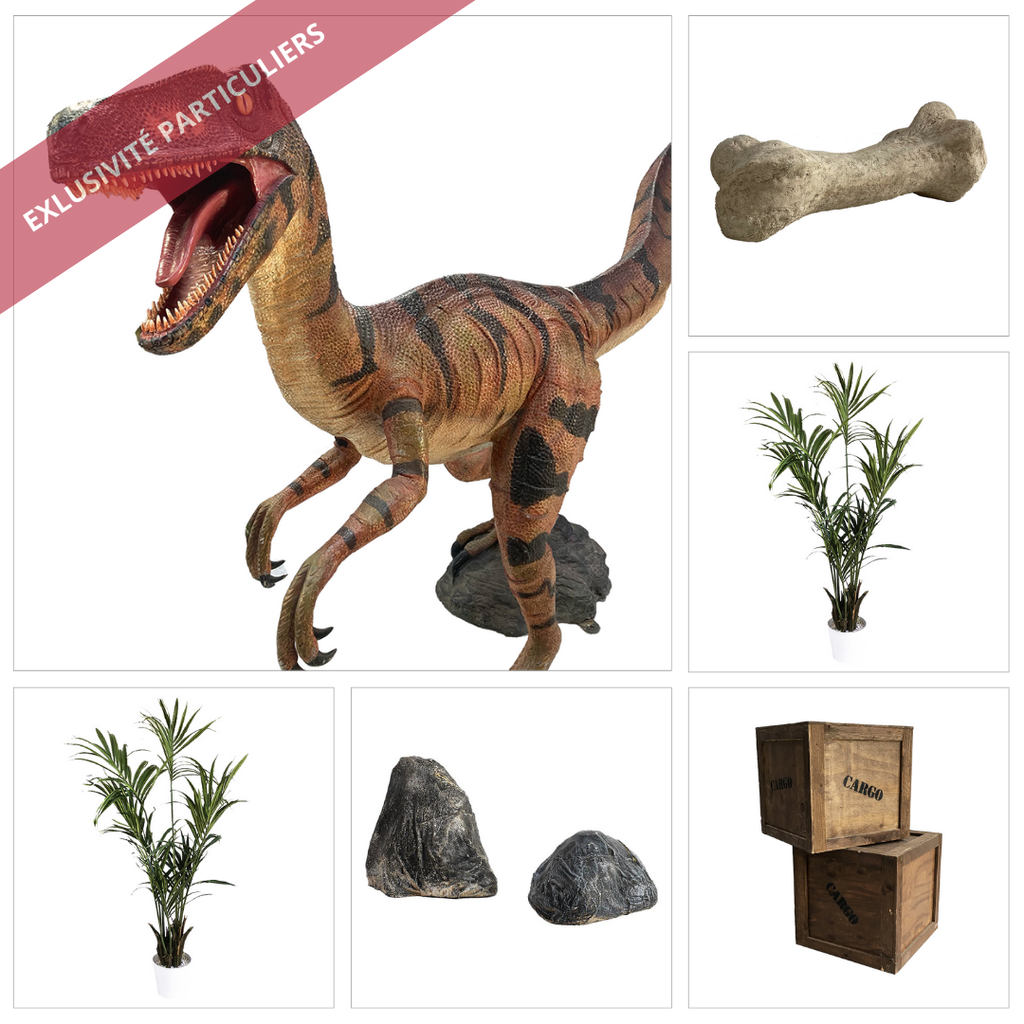 Sweetpack Dinosaure