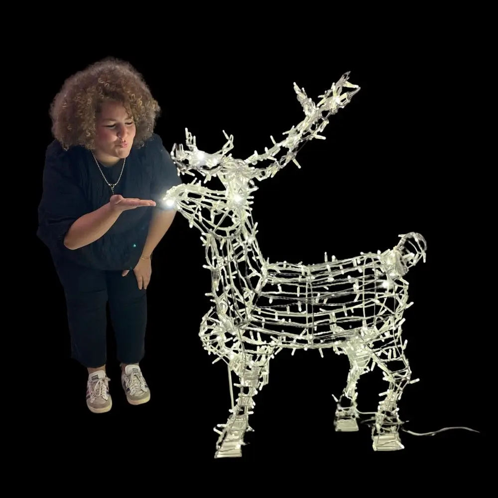 Petit Renne Lumineux - 120cm