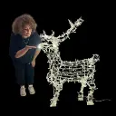 Petit Renne Lumineux - 120cm