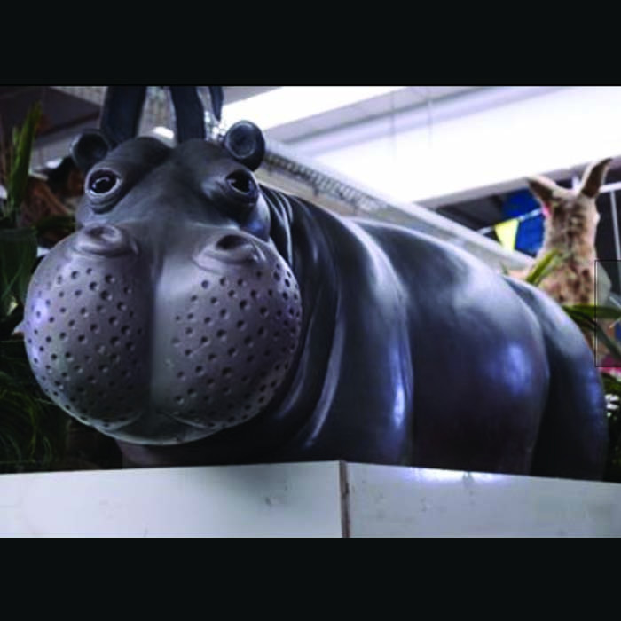 Bébé hippopotame nageur - 76cm
