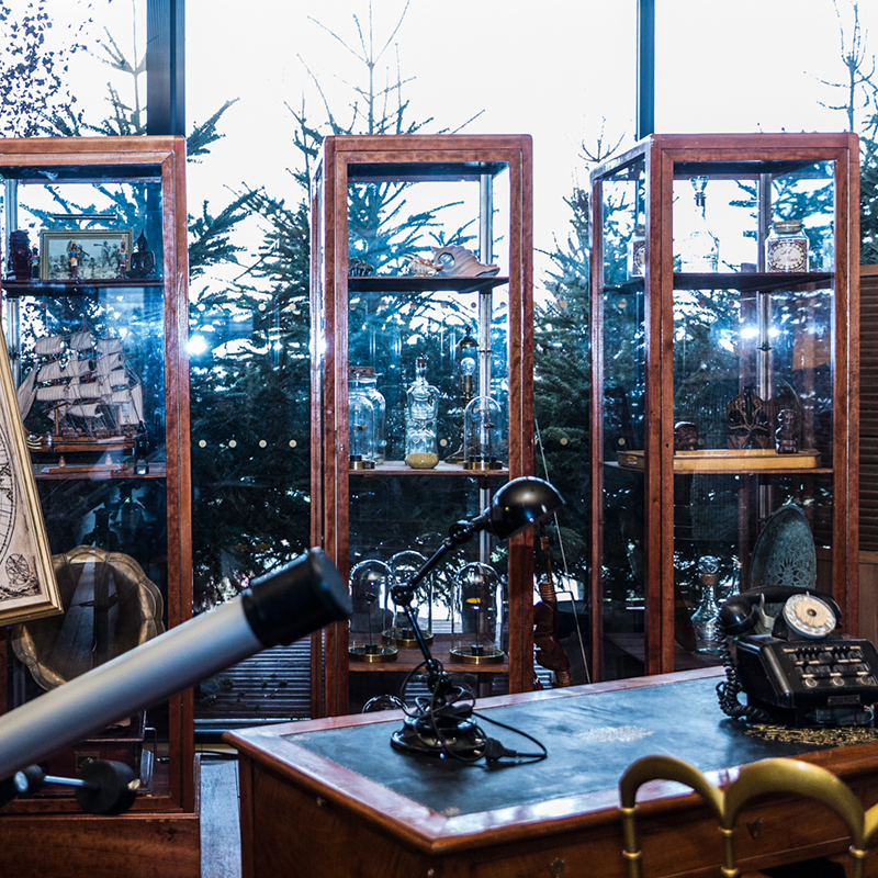 Vitrine de curiosités
