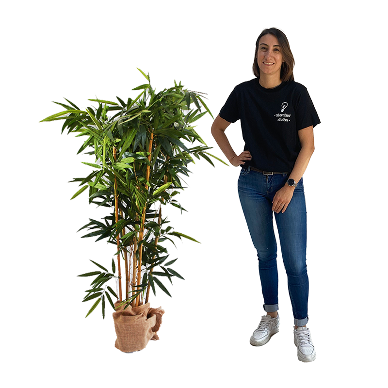 Bambou 140cm
