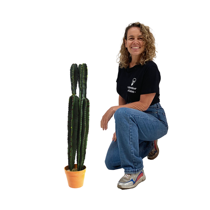 Cactus 72cm
