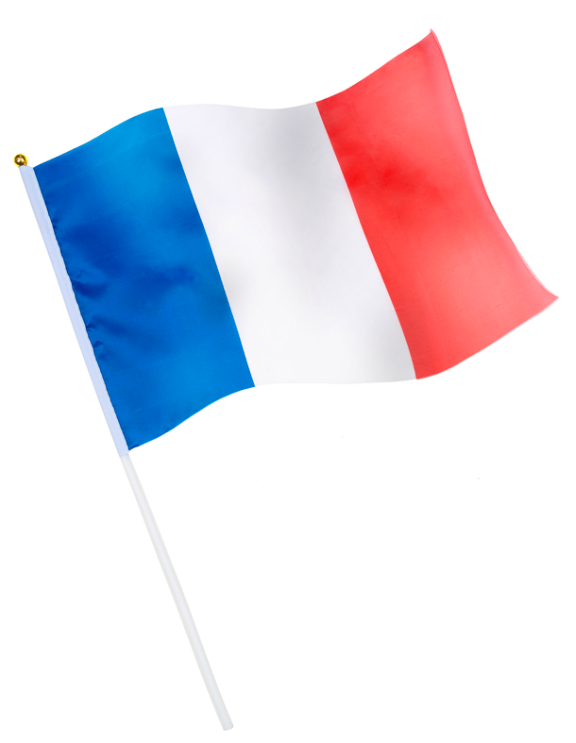 Drapeau supporter France - 26cm