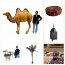 Decopack Oriental