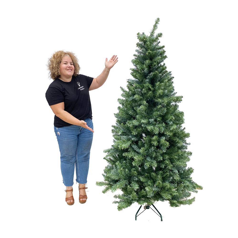 Sapin vert - 200 à 220cm