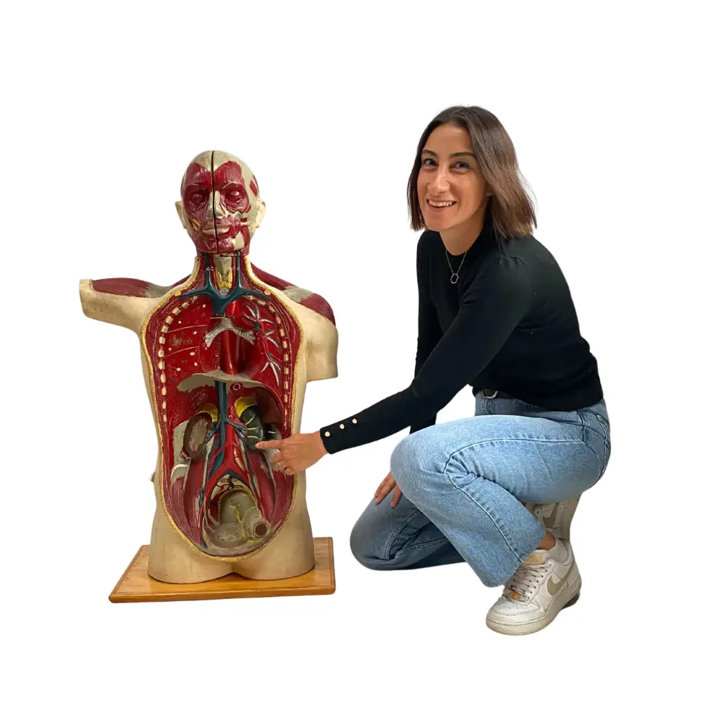 Corps humain médecine - 94cm