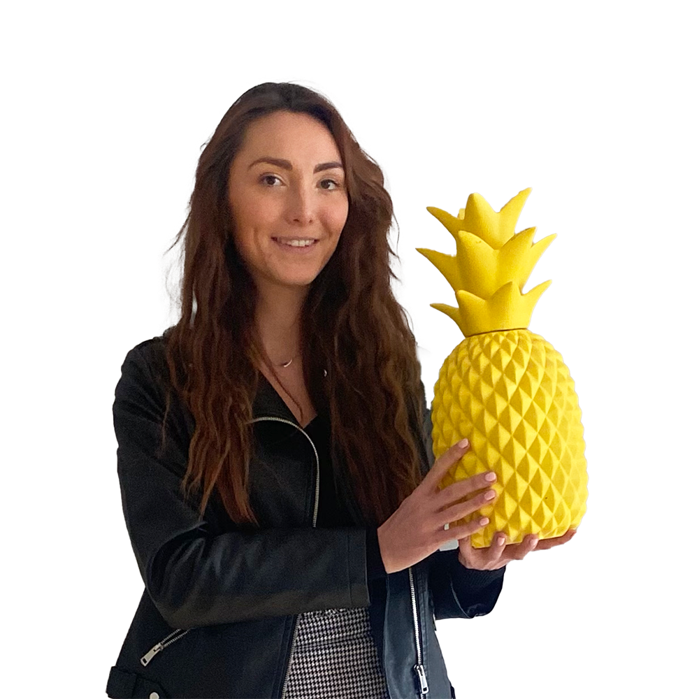 Ananas - 40cm