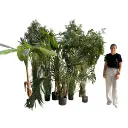 Kit végétation haute - Classique