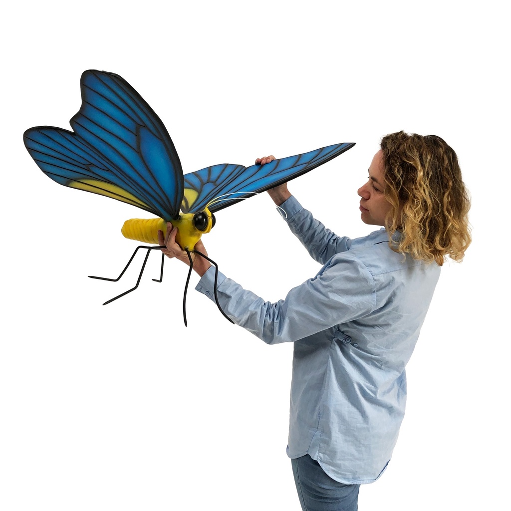 Papillon bleu - 55cm